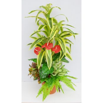 Aranžmán umelých kvetín Dracéna s prízdobami, 150 cm