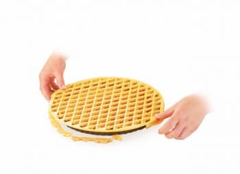 Tescoma Delícia Vykrajovacia forma mriežková 30 cm,