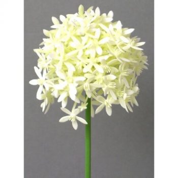 Umelá kvetina Cesnak krémová, 64 cm