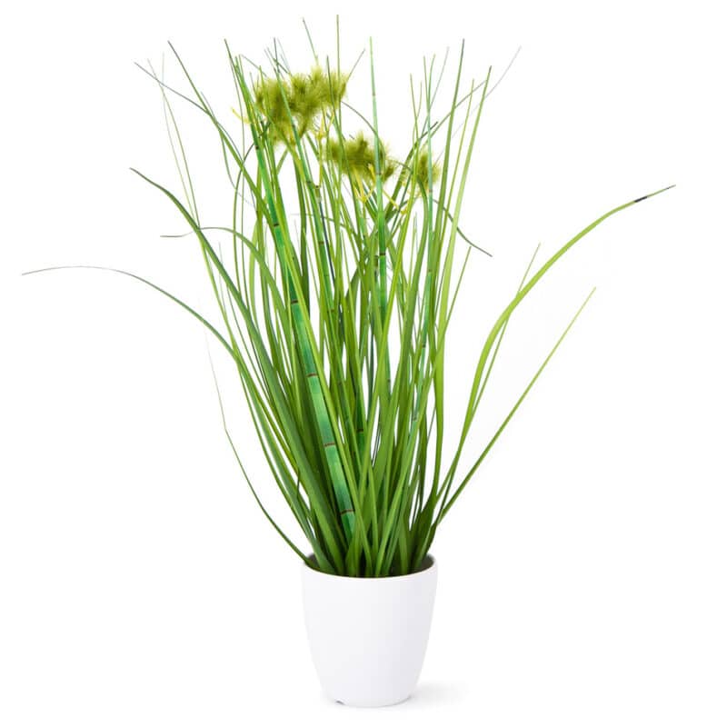 Umelá kvitnúca tráva Otilie zelená, 36 cm