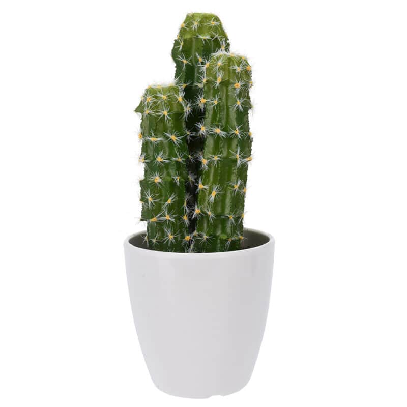 Koopman Umelý kaktus v kvetináči Copalillo, 20 cm