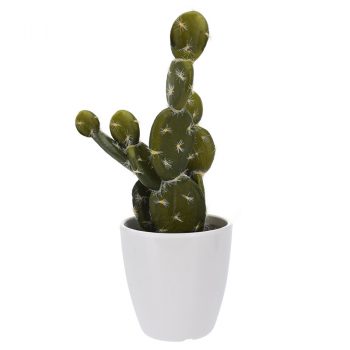 Koopman Umelý kaktus v kvetináči Pintada, 22 cm
