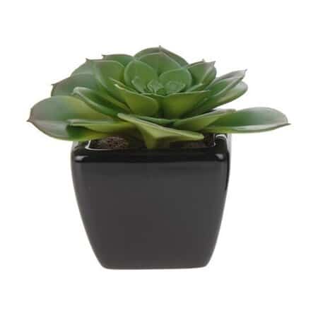 Koopman Umelý sukulent v kvetináči Arcelia, 10 cm
