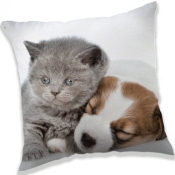 Jerry Fabrics Vankúšik Puppy and Kitten, 40 x 40 cm