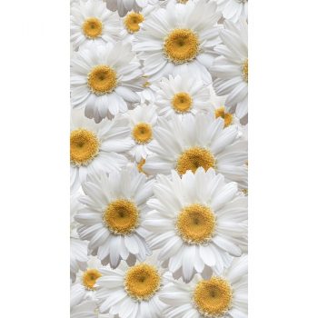 AG ART Záves Daisy, 140 x 245 cm