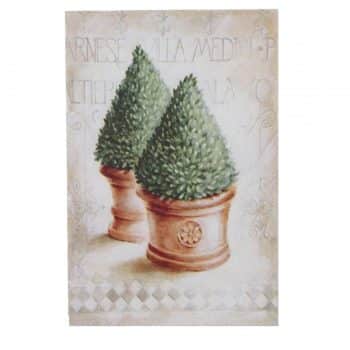 Obraz na plátne Thuja, 35 x 45 x 1 cm