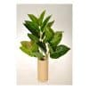 Umelá kvetina Ficus Elastica, 45 cm - Image 1