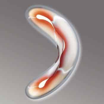 Slamp Crocco S – nástenné LED svietidlo - Image 2