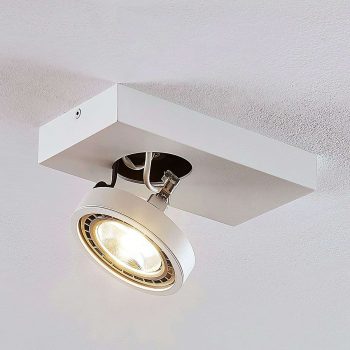 Stropné LED svietidlo Negan biele jedno-plameňové