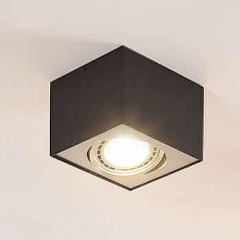 Stropné LED svietidlo Dwight čierne 1-plameňové