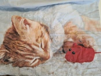 Dekoračná obliečka na vankúš s mačiatkom 70x80cm   Sivá 41534
