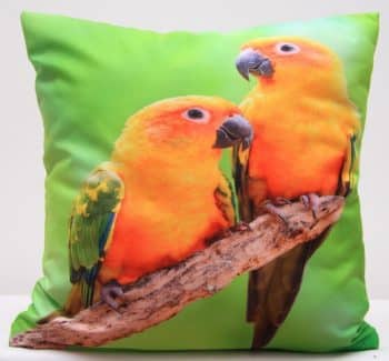 Zelená obliečka na vankúše s oranžovými papagájmi 40x40 cm Zelená 3142-147286