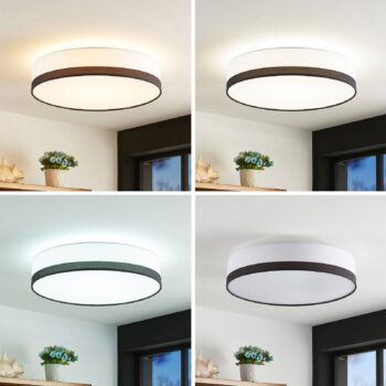 Lindby Laia stropné LED svietidlo, Ø 50 cm - Image 2