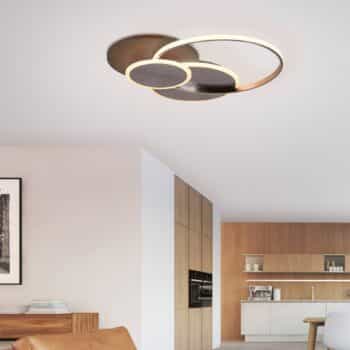 Paul Neuhaus Palma stropné LED svetlo CCT okrúhle