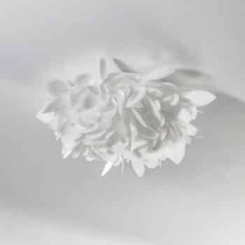 Slamp Veli Foliage Mini nástenné svietidlo Ø 36 cm - Image 2