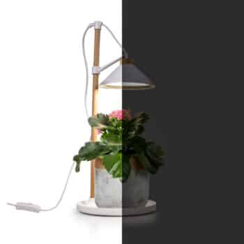 Botanické LED svietidlo ISL-60028 - Image 2