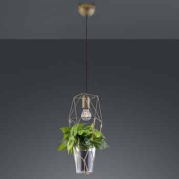 Závesná lampa Plant, 1-pl. sklenená vložka na deko
