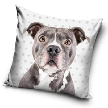 Carbotex Obliečka na vankúšik Pitbull Fotka na občianku, 40 x 40 cm