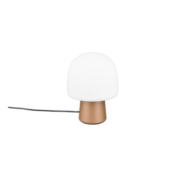Stolová lampa v bielo-bronzovej farbe so skleneným tienidlom (výška 27 cm) Steen – Trio - Image 5