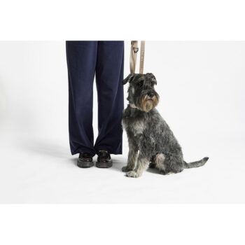 Béžový obojok veľkosť M/L dĺžka 35 cm Modena Greige M/ML – MiaCara - Image 2