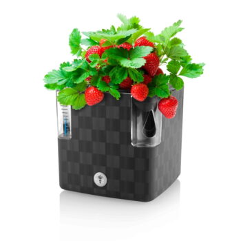 Samozavlažovací plastový kvetináč na bylinky Cobble - Flower Lover - Image 5