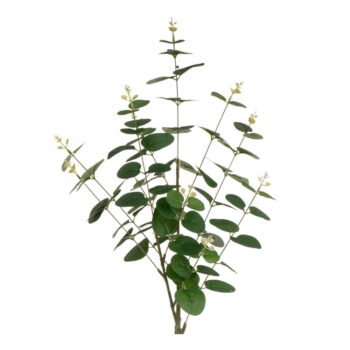 Umelý eukalyptus 4 ks (výška 85 cm) – Casa Selección – Obrázok 3