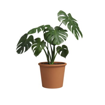 Kvetináč z terakoty ø 18 cm Saramago Cilindro – Artevasi - Image 3