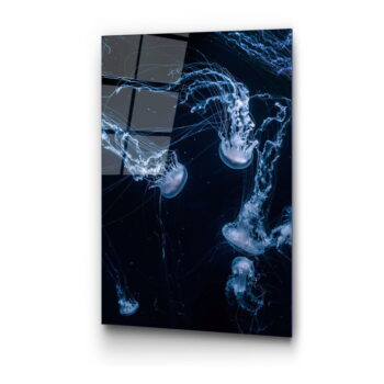 Sklenený obraz 70x100 cm Jelly Fish - Wallity - Image 5