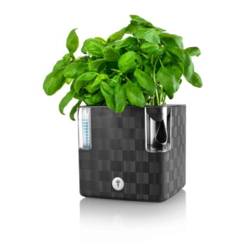 Samozavlažovací plastový kvetináč na bylinky Cobble - Flower Lover - Image 2