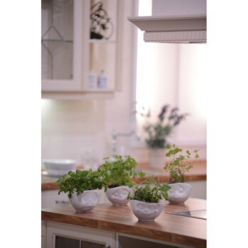Biela porcelánová zamilovaná miska 58products - Image 8
