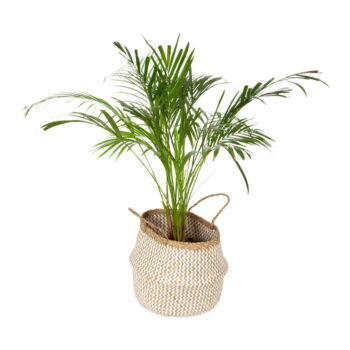 Svetlý úložný košík z morskej trávy Compactor Zic Zac, ⌀ 35 cm - Image 2