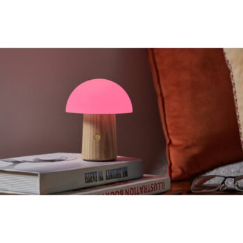 Stmievateľná stolová lampa v prírodnej farbe so skleneným tienidlom (výška 13 cm) Alice – Gingko - Image 7