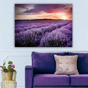 Obraz 100x70 cm Lavender Field – Wallity - Image 2