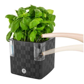 Samozavlažovací plastový kvetináč na bylinky Cobble - Flower Lover - Image 3