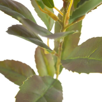 Umelá vetvička (výška 37 cm) Lemon Tree – Ixia - Image 2