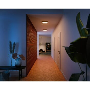 LED inteligentné stropné svietidlo 19 W Aurelle – Philips Hue - Image 2