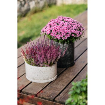 Tmavosivý kvetináč Bonami Selection Terrazzo, ø 34 cm – Obrázok 2