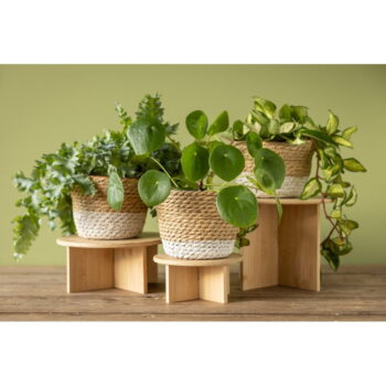 Bambusový stojan na kvety ø 18 cm – Esschert Design - Image 6