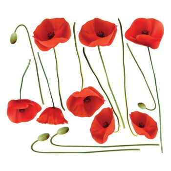 Sada samolepiek na stenu Ambiance vrmeil Poppies, 60 x 70 cm - Image 2