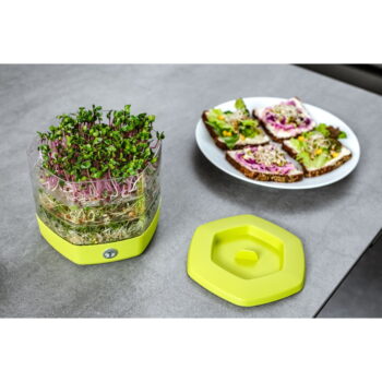 Plastová klíčiaca miska Mungo - Flower Lover – Obrázok 6