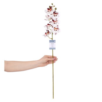 Umelé kvety v súprave 10 ks (výška 76 cm) Faleni – AmeliaHome - Image 2
