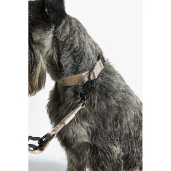 Béžový obojok veľkosť M/L dĺžka 35 cm Modena Greige M/ML – MiaCara - Image 9