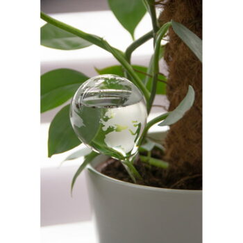 Sklenená zavlažovacia guľa 175 ml Globe - Esschert Design – Obrázok 2