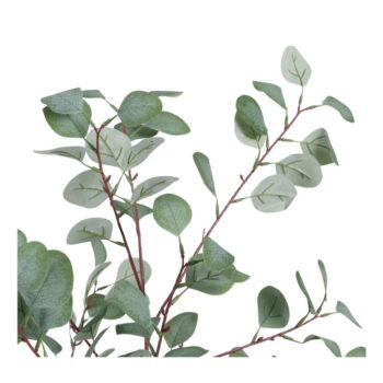 Umelý eukalyptus (výška 180 cm) Eucalyptus – Ixia - Image 3