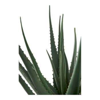 Umelá rastlina (výška 51 cm) Aloe Vera – House Nordic - Image 4