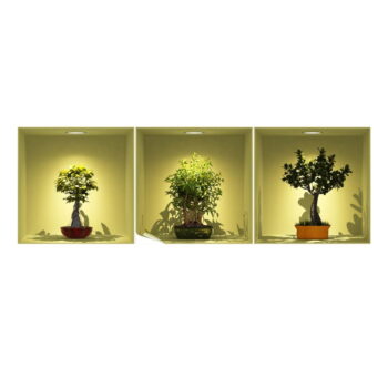 Súprava 3 samolepiek s 3D efektom Ambiance Bonsai Trees On Spot – Obrázok 2