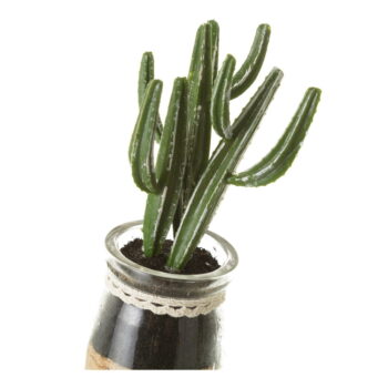 Umelé rastliny v súprave 4 ks (výška  18 cm) Cactus – Casa Selección - Image 5