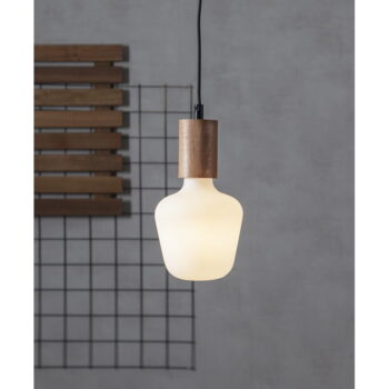Teplá LED žiarovka so stmievačom E27, 6 W – Star Trading - Image 6