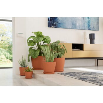 Miska pod kvetináč z terakoty ø 36 cm – Artevasi – Obrázok 5