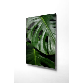 Sklenený obraz 50x70 cm Monstera - Wallity - Image 4